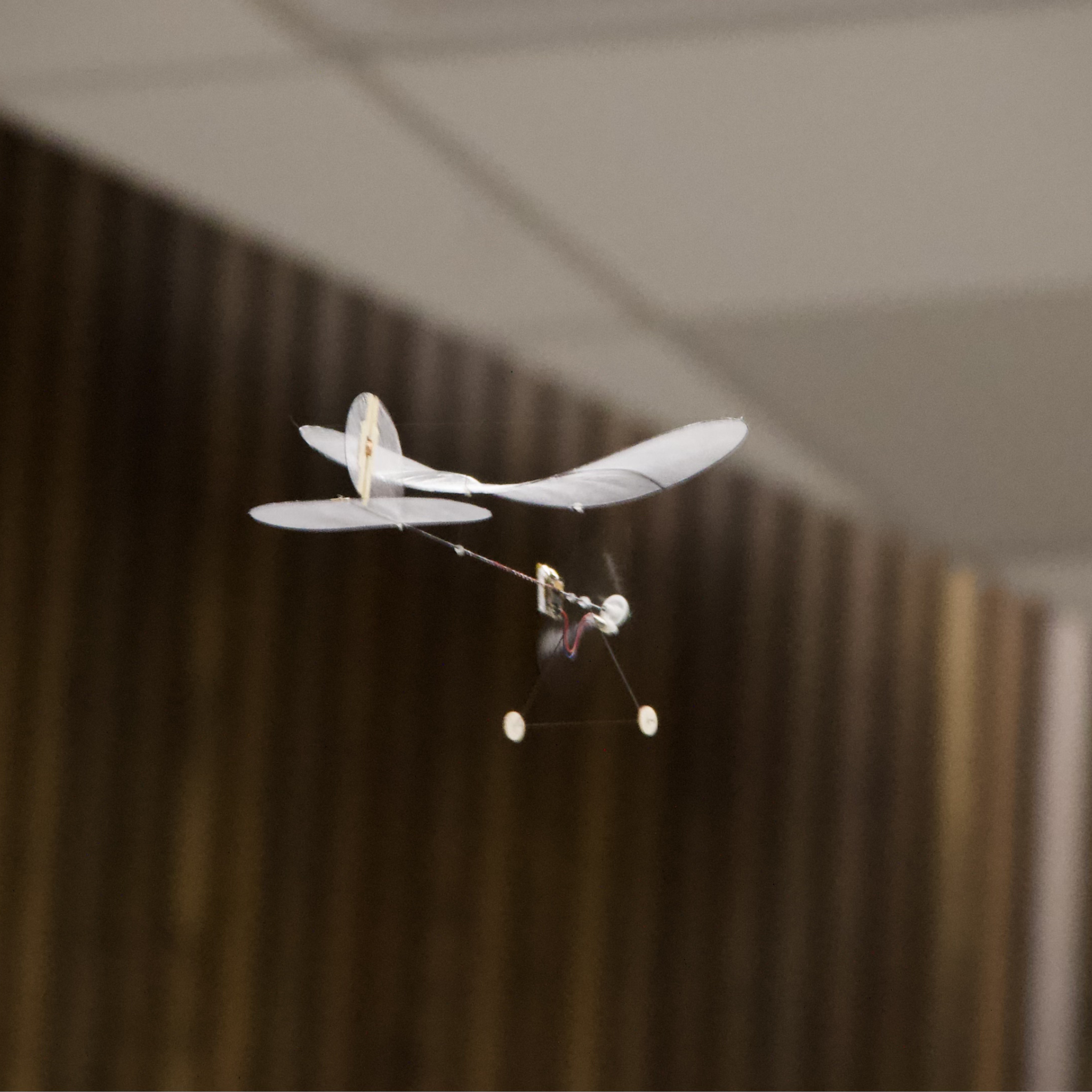 Carbon Butterfly - Ready-to-Fly Set