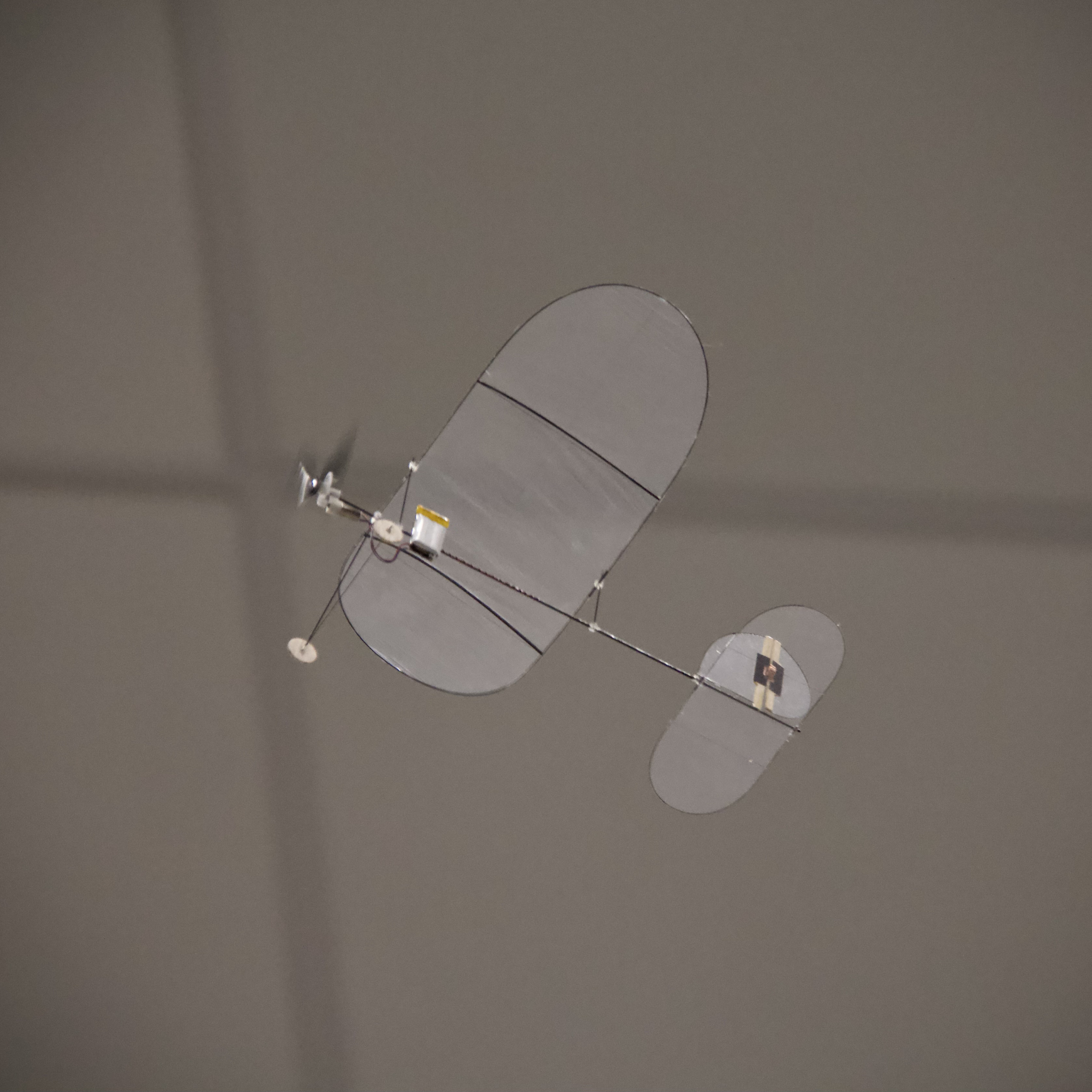 Carbon Butterfly - Ready-to-Fly Set