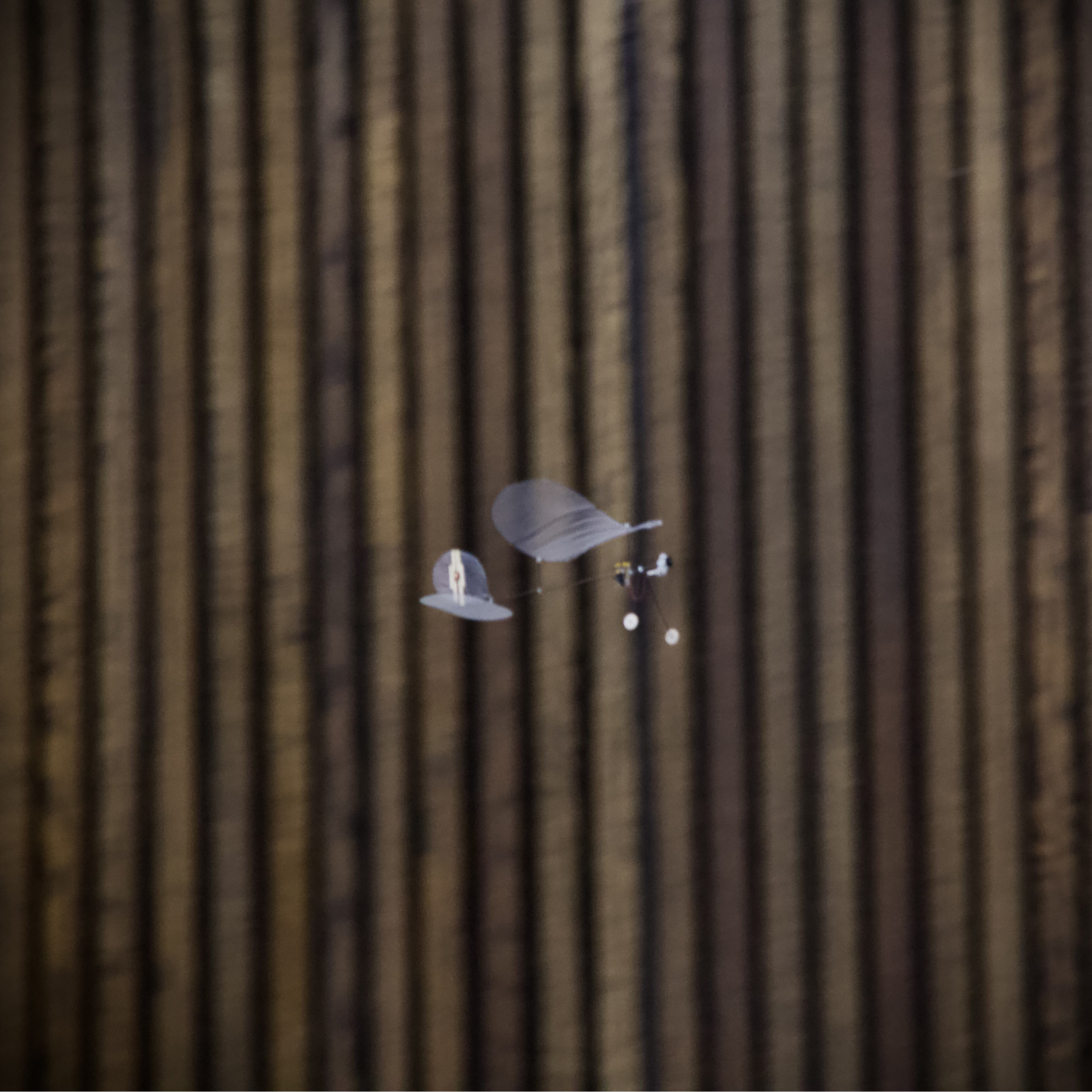 Carbon Butterfly - Ready-to-Fly Set