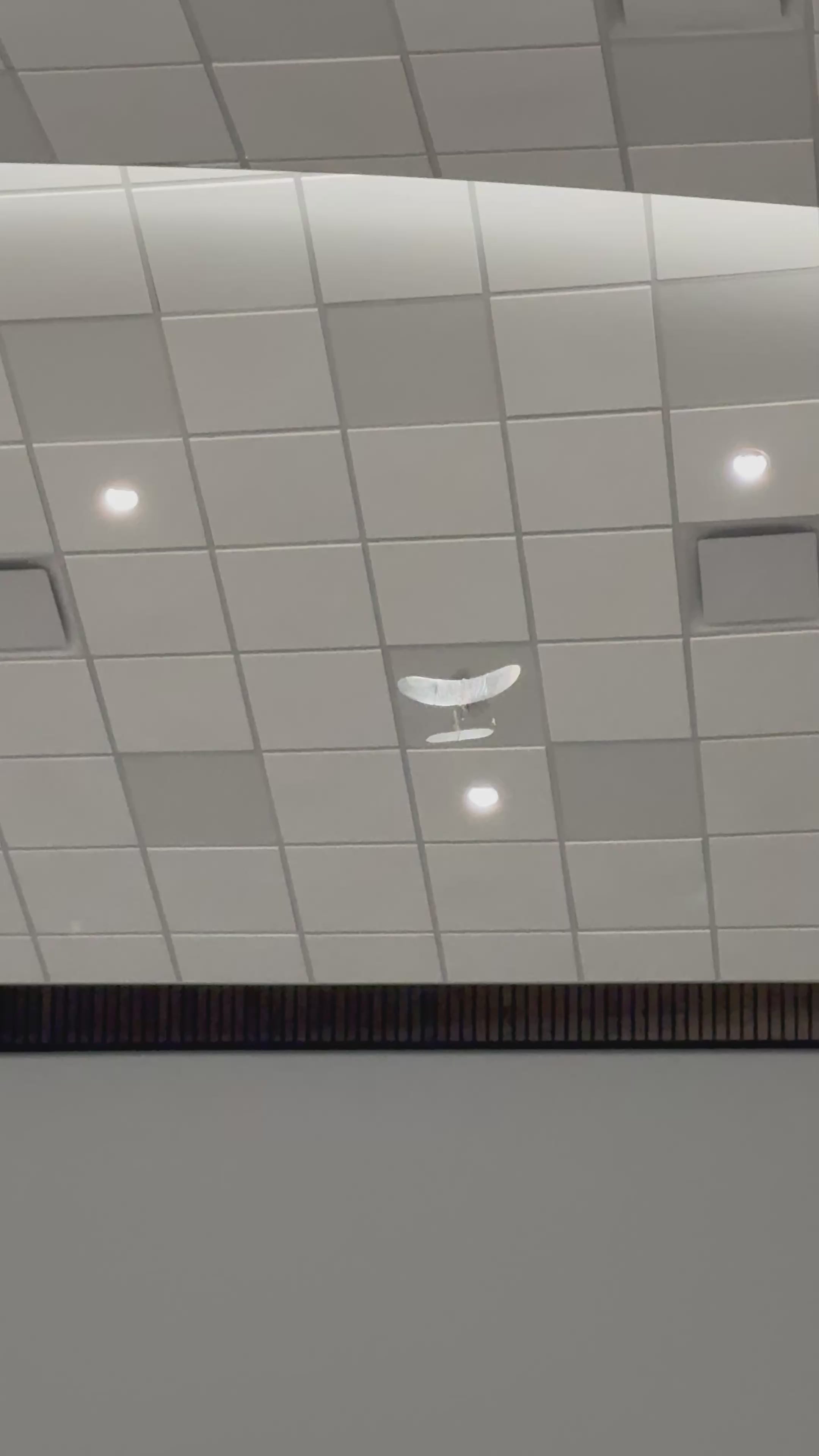 Carbon Butterfly - Ready-to-Fly Set