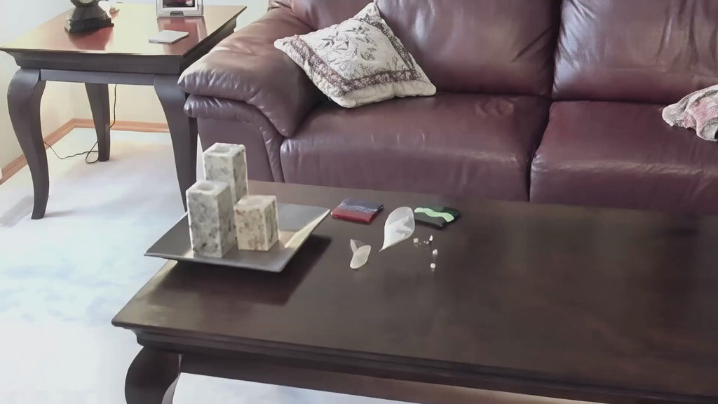 Untitled design.mp4__PID:464ee060-c9ee-4484-b282-fcefa4233595