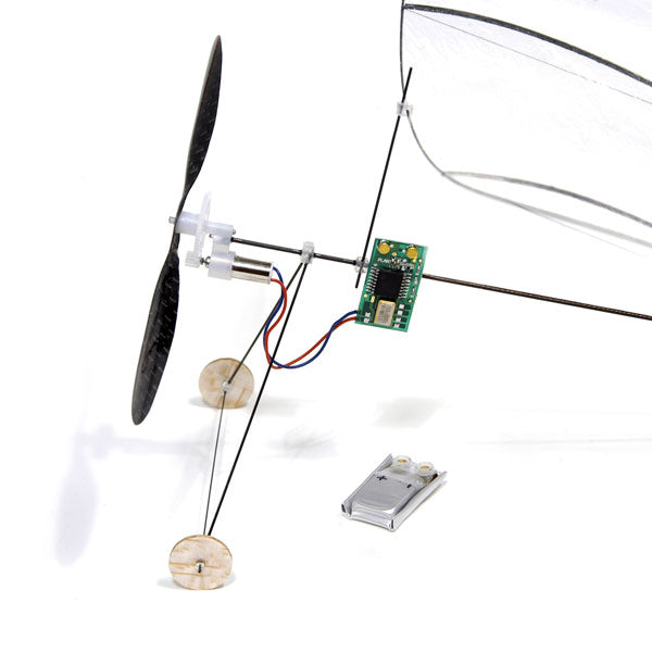 Carbon Butterfly - Complete Set