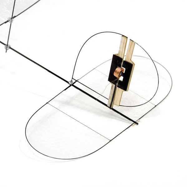 Carbon Butterfly - Complete Set