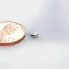 Magnet Set 3X1.5mm disc EH30 Gold 10pcs